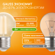 Лампа светодиодная   Filament Elementary Шар 8W 510lm 2700К Е27 LED 1/10/100  52218  Gauss