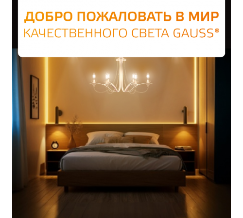 Лампа светодиодная   Filament Elementary Шар 10W 650lm 2700К Е14 LED 1/10/100  52110  Gauss