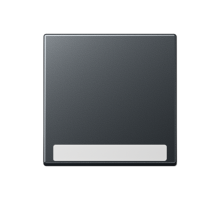 Клавиша с полем для надписи A590BFNAANM Jung