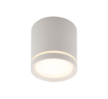 Светильник светодиодный накладной DK4016-WH IP20, 5Вт, LED 3000, белый, алюминий/акрил  DK4016-WH  DENKIRS