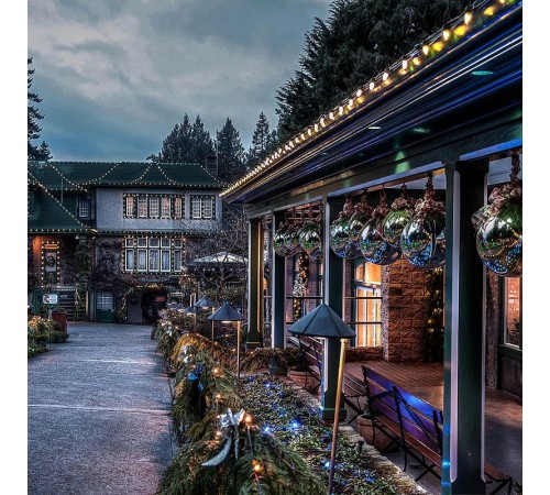 Гирлянда CL25-25 Белт-лайт 230V черный IP65 25м  29880  Feron