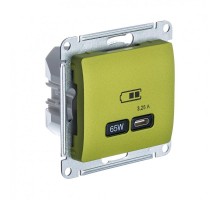 Glossa Фисташковый USB Розетка тип-C 65W высокоскор.заряд. QC PD  GSL001027  SE