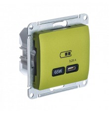Glossa Фисташковый USB Розетка тип-C 65W высокоскор.заряд. QC PD  GSL001027  SE