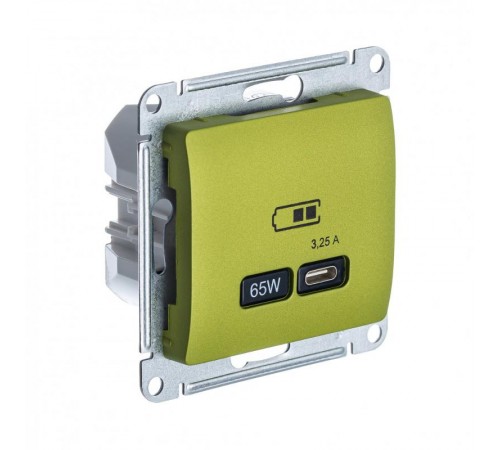 Glossa Фисташковый USB Розетка тип-C 65W высокоскор.заряд. QC PD  GSL001027  SE