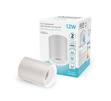 Светильник светодиодный декоративный бытовой HD011 12W (белый) 4100K 79x100мм  HD011  Gauss