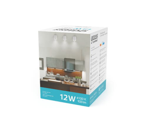 Светильник светодиодный декоративный бытовой HD011 12W (белый) 4100K 79x100мм  HD011  Gauss