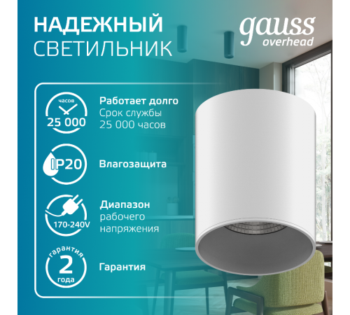 Светильник светодиодный декоративный бытовой HD011 12W (белый) 4100K 79x100мм  HD011  Gauss