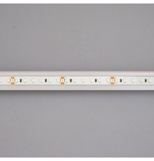 Светодиодная лента RT-A120-8mm 24V Tiffany (9.6 W/m, IP20, 2835, 5m) (Arlight, -)  043382  Arlight