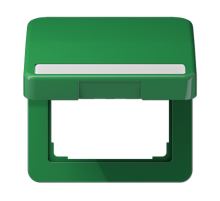 крышка с полем для надписи  CD590BFNAKLGN  Jung