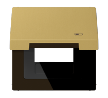 Рамка с подпружиненной крышкой для USB-механизмов, с центральной платой ME2990KLUSBC Jung