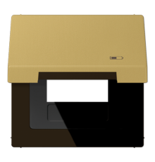 Рамка с подпружиненной крышкой для USB-механизмов, с центральной платой ME2990KLUSBC Jung