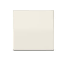 Клавиша для балансирного выключателя; термопласт; слоновая кость  AS591BFS  Jung