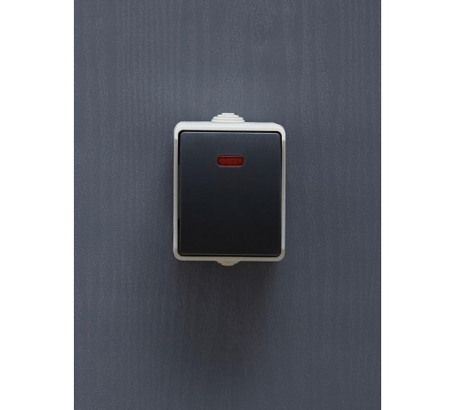 Форс Выключатель 1-клавишный со свет. индикатором О/У IP54 ВС20-1-1-ФСр EVS11-K03-10-54-DC  IEK