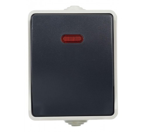 Форс Выключатель 1-клавишный со свет. индикатором О/У IP54 ВС20-1-1-ФСр EVS11-K03-10-54-DC  IEK