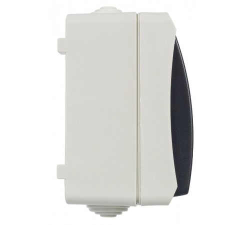 Форс Выключатель 1-клавишный со свет. индикатором О/У IP54 ВС20-1-1-ФСр EVS11-K03-10-54-DC  IEK