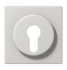 Крышка к выключателю для замочного механизма; светло-серая LS928LG Jung