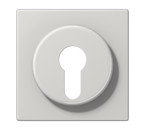 Крышка к выключателю для замочного механизма; светло-серая LS928LG Jung