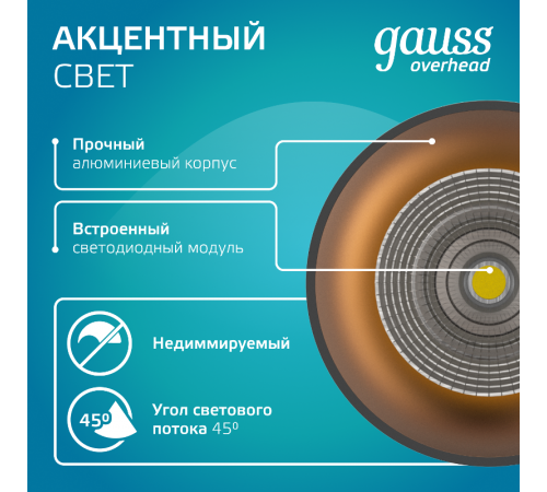 Светильник светодиодный накладной/подвесной HD035 12W (черный/золото) 4100K 79*200мм 1/10  HD035  Gauss