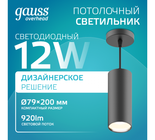 Светильник светодиодный накладной/подвесной HD035 12W (черный/золото) 4100K 79*200мм 1/10  HD035  Gauss