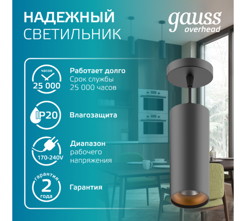 Светильник светодиодный накладной/подвесной HD035 12W (черный/золото) 4100K 79*200мм 1/10  HD035  Gauss