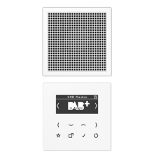 Цифровое радио DAB + DABLS1WW Jung