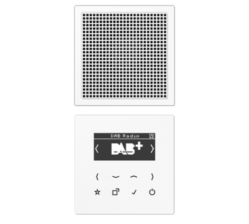 Цифровое радио DAB + DABLS1WW Jung