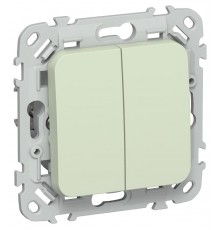 FLITE Выключатель 2-клавишный 10А ВС12-1-0-ФлП панг  FI-V20-0-10-1-K92  IEK