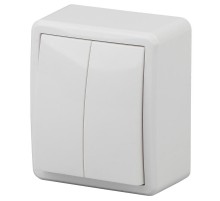 Выключатель 2-клавишный 10АХ-250В, ОУ, 11-1204-01, Эксперт, Белый Б0020663  ЭРА