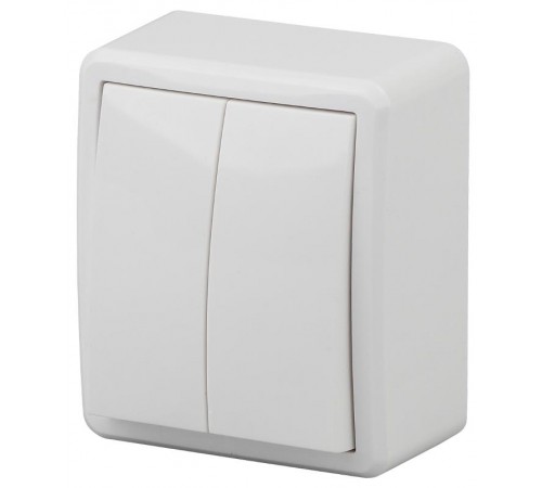 Выключатель 2-клавишный 10АХ-250В, ОУ, 11-1204-01, Эксперт, Белый Б0020663  ЭРА