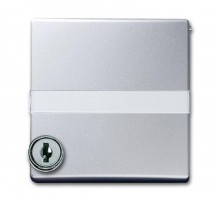 Плата промежуточная с крышкой для центральных плат , с индивидуальным зам., IP44, цвет серебристо-алюминиевый  1710-0-3796   2CKA001710A3796  ABB