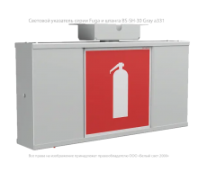 Светильник аварийного освещения BS-FUGA-61-D1-INEXI2  a18965  Белый свет