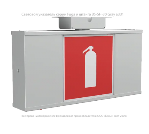 Световой указатель аварийного освещения BS-FUGA-10-S1-ELON  a22292  Белый свет