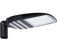 Светильник светодиодный консольный уличный FREGAT CROSSING LED 110 (R) 5000K  1426000060  Световые Технологии