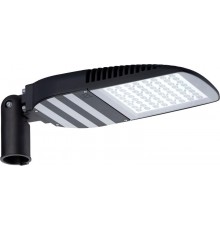 Светильник светодиодный консольный уличный FREGAT CROSSING LED 110 (R) 5000K  1426000060  Световые Технологии