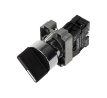 Переключатель BD21 2P короткая ручка NO  36-5550  REXANT