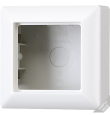 Рамка для вертикальной и горизонтальной установки, 1 пост, накладной монтаж; дюропласт; слоновая кость; AS500  AS581AW  Jung