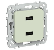 FLITE Розетка USB A+A 2,1А РЮ-2-ФлП панг  FI-U21-D31-K92  IEK