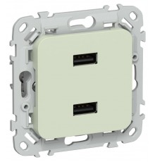 FLITE Розетка USB A+A 2,1А РЮ-2-ФлП панг  FI-U21-D31-K92  IEK