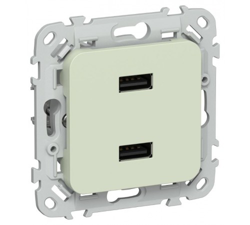 FLITE Розетка USB A+A 2,1А РЮ-2-ФлП панг  FI-U21-D31-K92  IEK