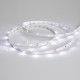 Лента светодиодная RT 2-5000 24V White6000 0.5x (3528, 150 LED, LUX)  019917(B)  Arlight