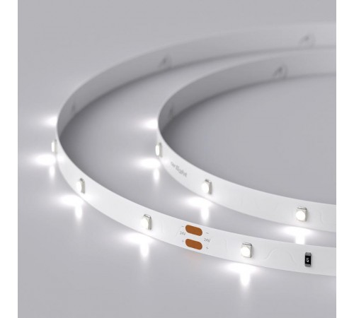 Лента светодиодная RT 2-5000 24V White6000 0.5x (3528, 150 LED, LUX)  019917(B)  Arlight