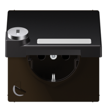 SCHUKO розетка с крышкой и полем для надписи AL1520NAKLSLD Jung