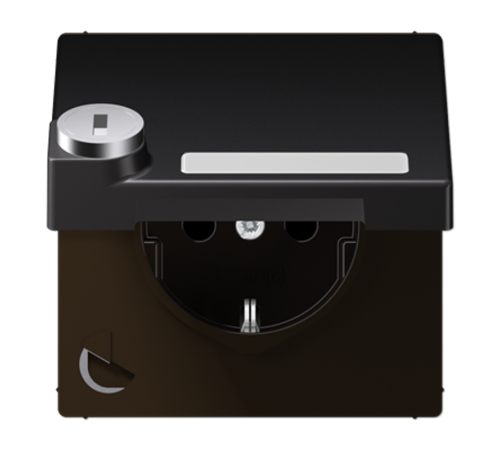 SCHUKO розетка с крышкой и полем для надписи AL1520NAKLSLD Jung