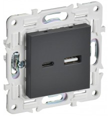 SKANDY Розетка USB A+C 18Вт SK-R13T титан   SK-U22-018-K48  IEK