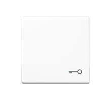 Клавиша с символом "замок"; белая  A590TWW  Jung