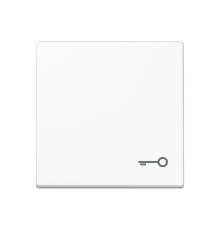 Клавиша с символом "замок"; белая  A590TWW  Jung