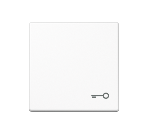 Клавиша с символом "замок"; белая  A590TWW  Jung