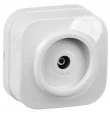 РТВ20-ХБ Розет. 1-ая телевиз. о/у GLORY белый  EAH10-K01  IEK