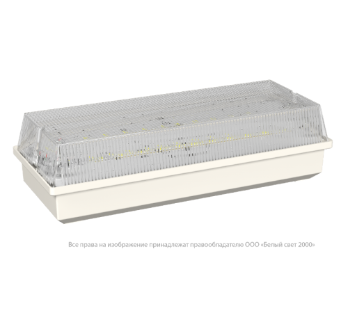 Светильник аварийного освещения BS-UNIVERSAL-81-L1-INEXI3-FELS  a15654  Белый свет