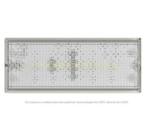 Светильник аварийного освещения BS-UNIVERSAL-81-L1-INEXI3-FELS  a15654  Белый свет